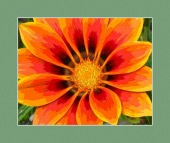 sore throat image healthtips images